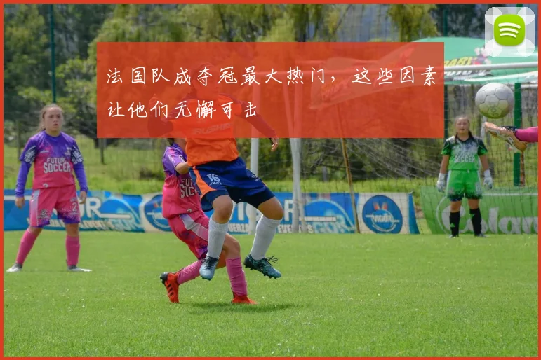 法国队成夺冠最大热门，这些因素让他们无懈可击